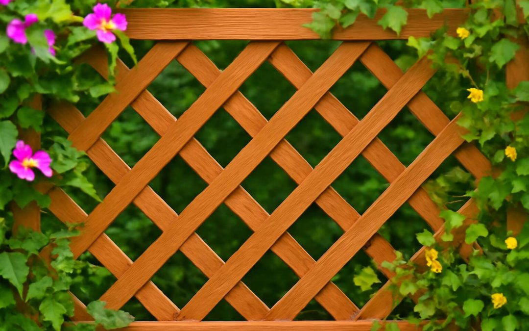 lattice fencing