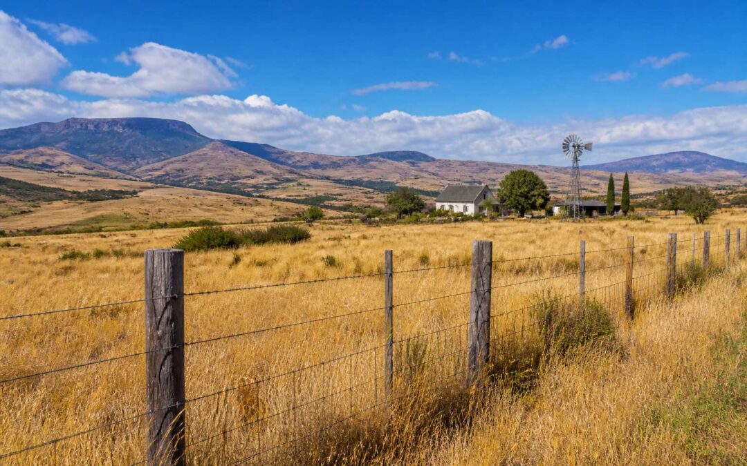 wire fencing prices south africa